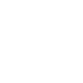 logo pitmasters